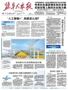 盐阜大众报期刊
